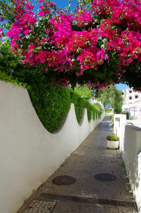 Holidays Albufeira - Ferias De Sonho المظهر الخارجي الصورة
